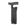 C43-Foldable/adjustable cane w/bag